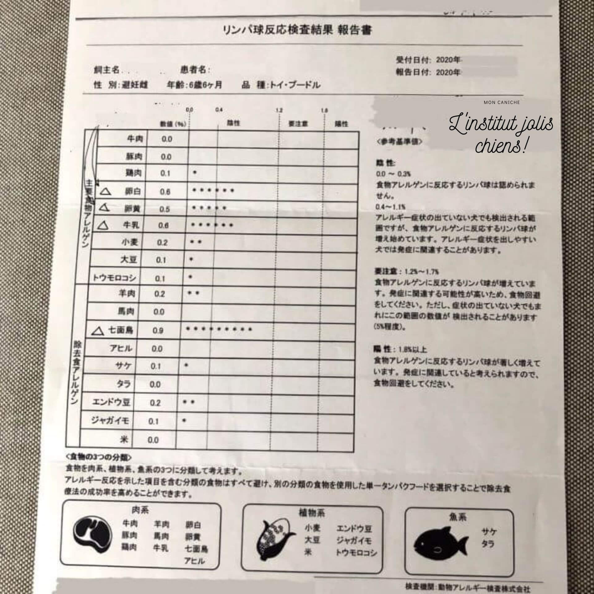 リンパ球反応検査結果